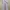Dickies Streetwear Casual Casual pants Pria white photo 7