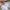 Dickies Streetwear Casual Casual pants Pria white photo 4