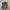Carhartt philis backpack photo 1