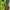 Nike Sportswear Sneakers Pria green yellow photo 4