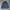 COSTES - Shawl Collar Chore Denim Jacket Indigo Blue⚒️
 photo 1