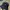 Bucket Ellese Black