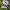 Pro Skate Vans Skate Authentic Original PT Navya photo 5