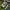 Pro Skate Vans Skate Authentic Original PT Navya photo 1