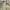 Mr Grey Casual Work Leather Jacket Beige Colorway photo 4