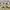 Mr Grey Casual Work Leather Jacket Beige Colorway photo 3