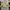 Mr Grey Casual Work Leather Jacket Beige Colorway photo 2