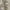 Mr Grey Casual Work Leather Jacket Beige Colorway photo 5