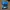 Blackburn spzl photo 2
