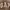 hd gap brown photo 2