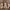 Hd Gap Brown