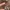 hd gap brown photo 4