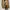 nike af1 brown limited edition photo 3