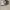 adidas forum size 43 photo 2