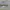 Nike AF1 Greey x Reigning Camp Original photo 4
