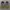 Nike AF1 Greey x Reigning Camp Original photo 3