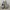 Sepatu adidas yeezy photo 3