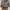 Motherways Puffer Jacket photo 1