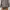 Motherways Puffer Jacket photo 8