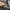 hoodie greep street photo 5