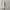 LANDROVER Sneaker Casual Leather Goretex photo 7