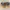 Timberland Adventure 2 0 Nubuck Chukaa Boots photo 5