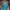 Vancouver Grizzlies NBA Jersey  photo 7