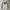 Detroit Pistons NBA Jersey  photo 2
