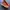 New Balance M1080M12 Fresh Foam photo 3