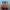 New Balance M1080M12 Fresh Foam photo 5