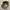 Stussy basic stock low pro cap hat photo 4
