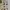 3D Puzzle Cologne Cathedral Cubic Fun Preloved photo 7