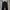 Dickies Double Knee Black Loose Fit  photo 3