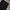 Dickies Double Knee Black Loose Fit  photo 7