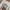 "Gildan - 2019 Daytona International Speedway Racing tee photo 1