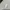 "Gildan - 2019 Daytona International Speedway Racing tee photo 7