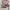"Gildan - 2019 Daytona International Speedway Racing tee photo 4