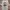 "Gildan - 2019 Daytona International Speedway Racing tee photo 2