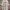 "Gildan - 2019 Daytona International Speedway Racing tee photo 3