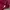 Hoodie GAP Burgundy  photo 4