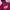 Hoodie GAP Burgundy  photo 2