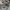 Nike AF1 low collab off white (43) photo 5