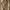 AIR JORDAN RETRO 11 OLIVE LUX Original photo 4