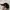 New Era Streetwear Sportswear Hat Pria black photo 3