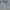 Kolon Sport New Goretex Waterproof Outdoor Jacket photo 2