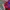 Jersey Vintage Kashima Antlers 1993-1994 Mizuno Home photo 4