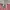 Jersey Vintage Kashima Antlers 1993-1994 Mizuno Home photo 6