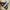 Converse Casual Sneakers Pria brown photo 1
