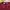 BWBYAZ Pamela Shired Maroon Blouse photo 2