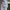 Stella McCartney Luxury Casual T-shirt Wanita white photo 5